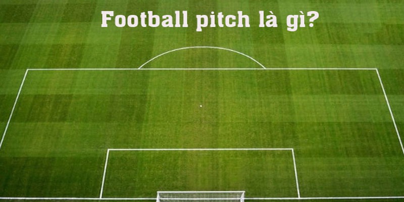 Giải đáp về khái niệm đường pitch bóng đá