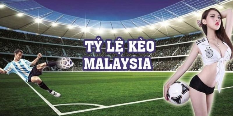 Khái quát thông tin về tỷ lệ Malaysia